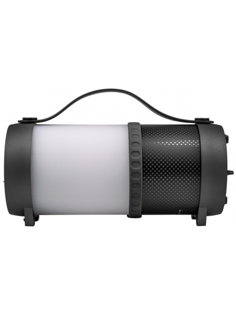 bluetooth колонка Dialog Progressive AP-1010 black