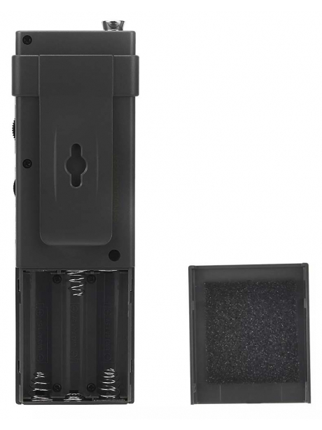 всеволновый цифровой радиоприемник Tecsun PL-365 (export version) black