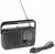 Всеволновый переносной радиоприемник Tecsun R-303 black