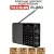 всеволновый цифровой радиоприемник Tecsun PL-880 (export version) black