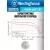 литиевая батарейка Westinghouse CR2025 24шт. 