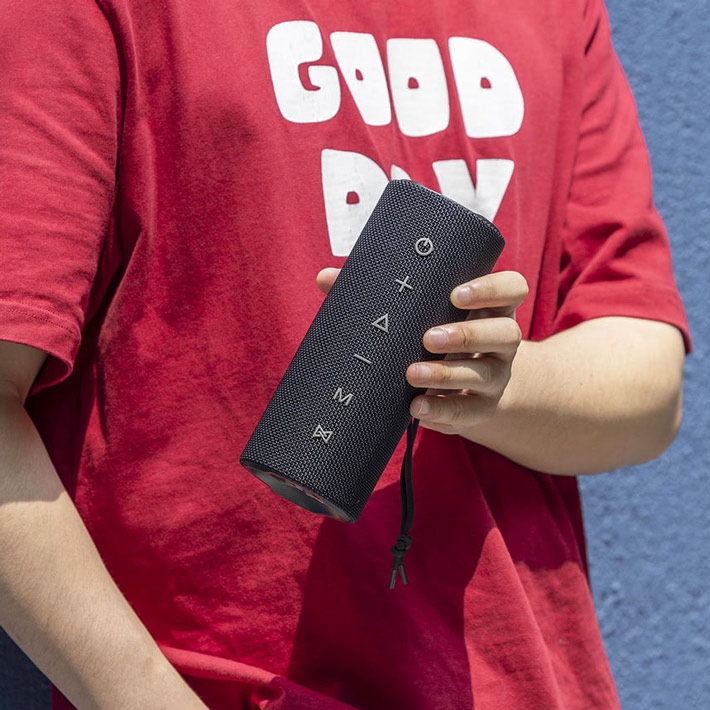 колонка Bluetooth Tronsmart Mirtune C2 24W